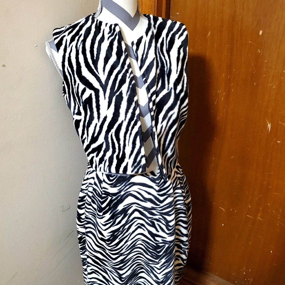 Velvet Zebra Print Skirt Set